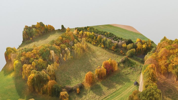 geodiag_jaskulin_18102017 3D Model