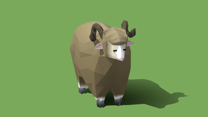 Sheep 3D Model