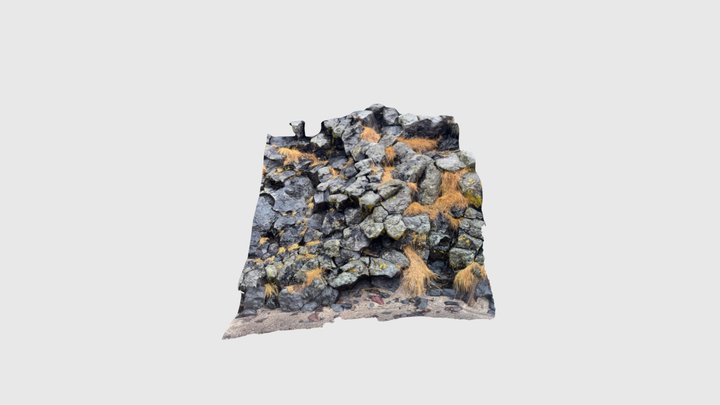 Icelandic Costal Rocky Ground 3D Model