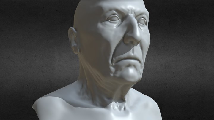 Realistic Female Head - Anatomy and Facial study 3D Model