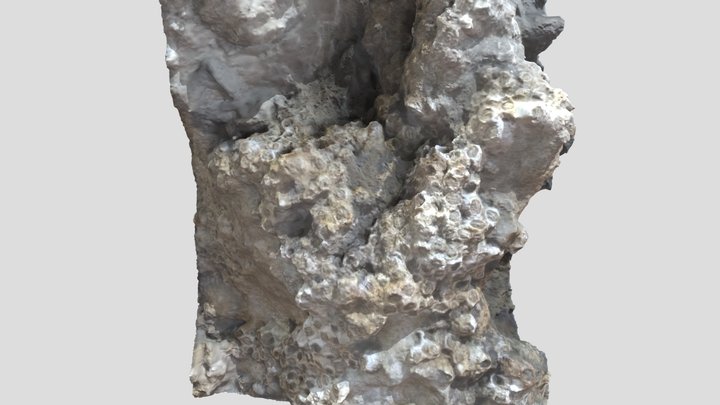 beach / coastal rocky thingy 3D Model