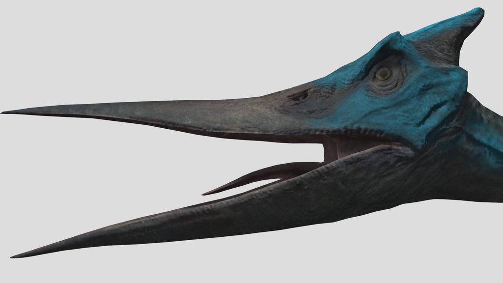 Pteranodon 2015C