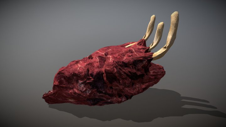 Meat and Bone 3D Model