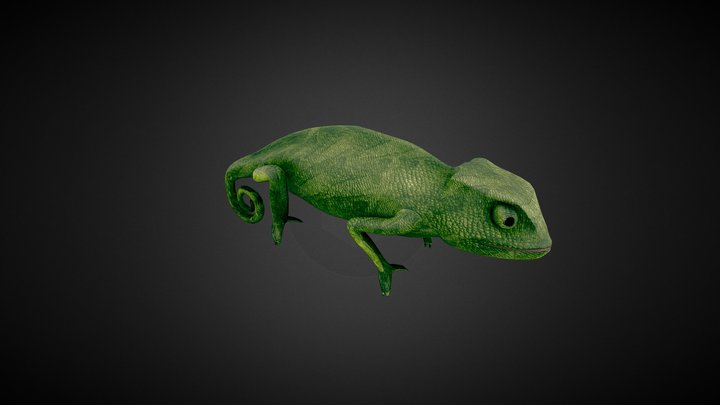 Camaleón 3D Model