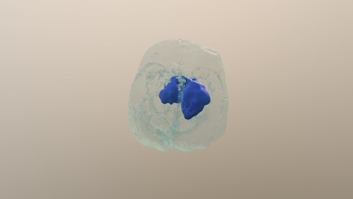 Sketchfab_2018_11_13_13_48_22 3D Model