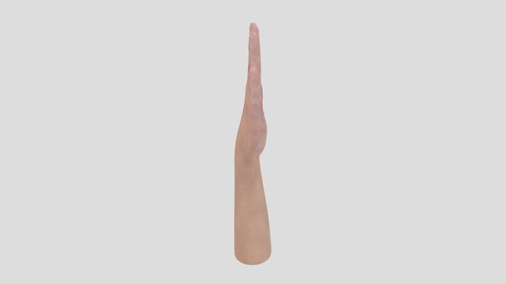 Hand 3D Model