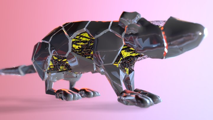 procedural rat study 3D Model