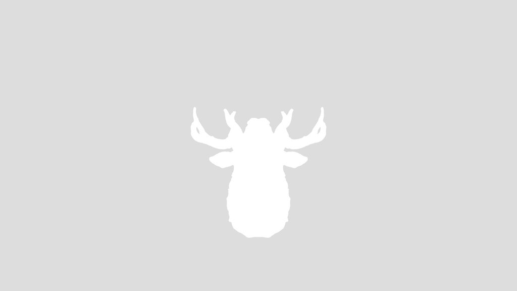 Deer Bust