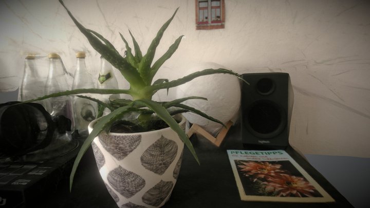 Plant Test Photogrammetry 3D Model