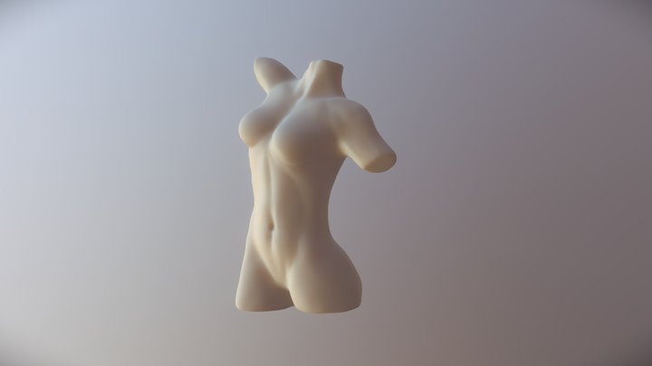 Female Torso 3D Model
