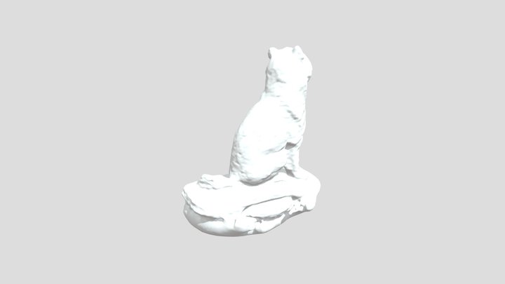 Balto ANTH 4997 3D Model