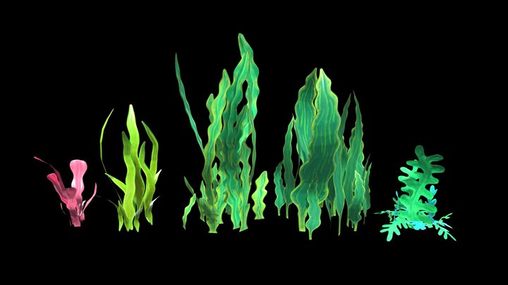 Seaweed 3D Model