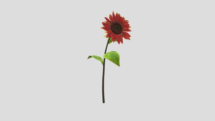 Red Sunflower 3D Model