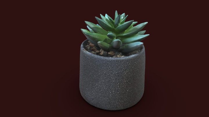 Small Flower. Polycam app 3D Model