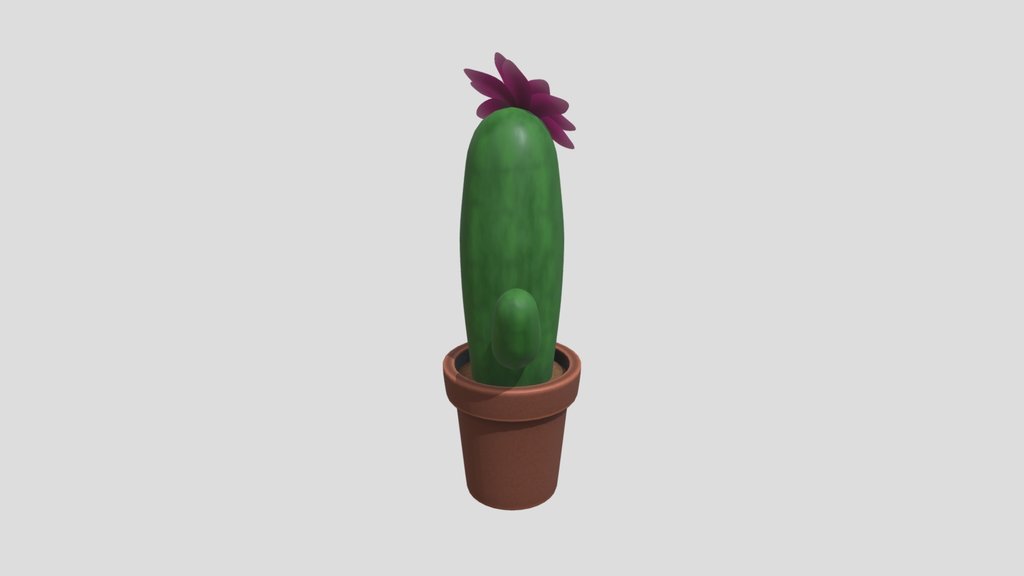 Stylized Cartoon Cactus