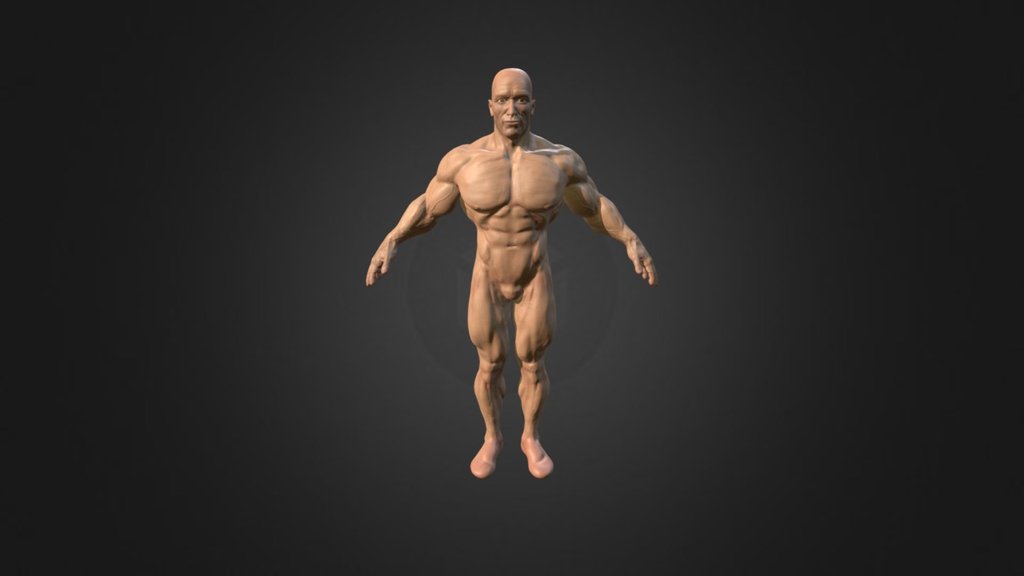 Bodybuilder-Mann-Charakter T-Pose 3D-Modell $149 - .gltf .obj .ma