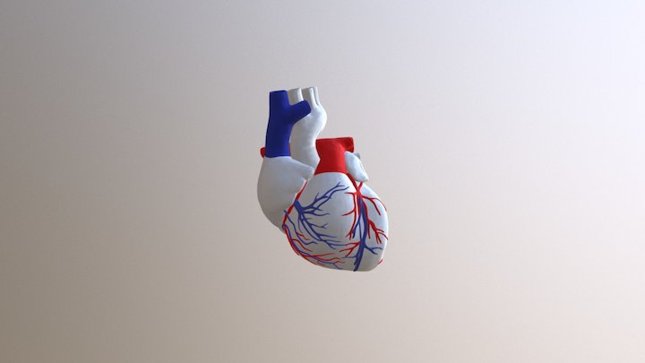 Heartbeating 3D Model