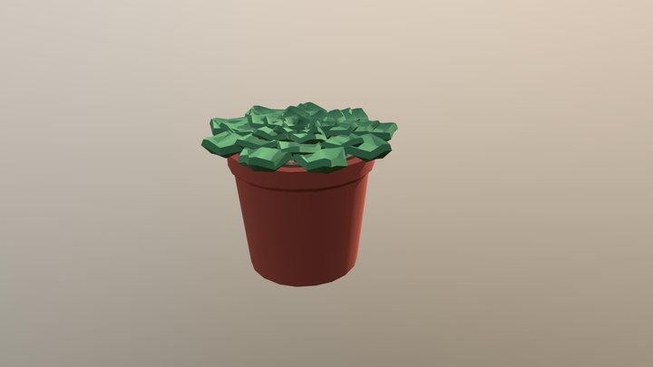 Low Poly Succulent Plant 3D Model