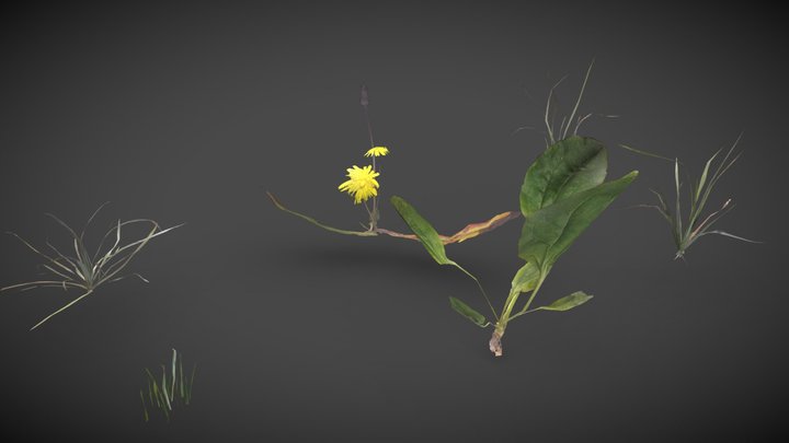 low-poly realistic plants pack – Free 3D Model STL
