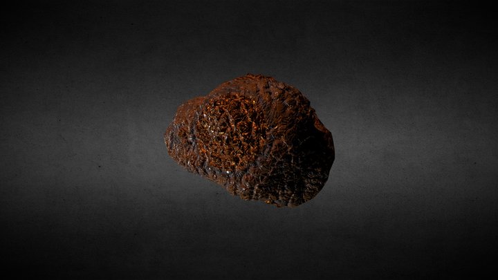 Petrified Dragon Egg 3D Model