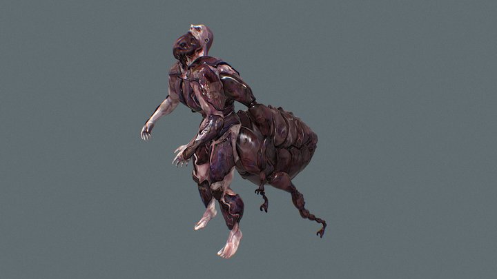 Hemoborn 3D Model