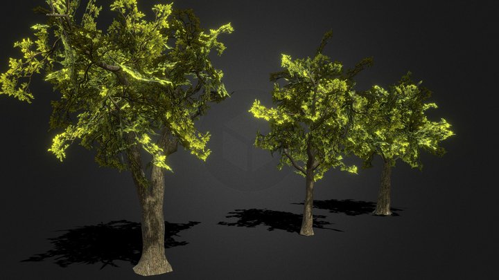 Trees – Free 3D Model STL