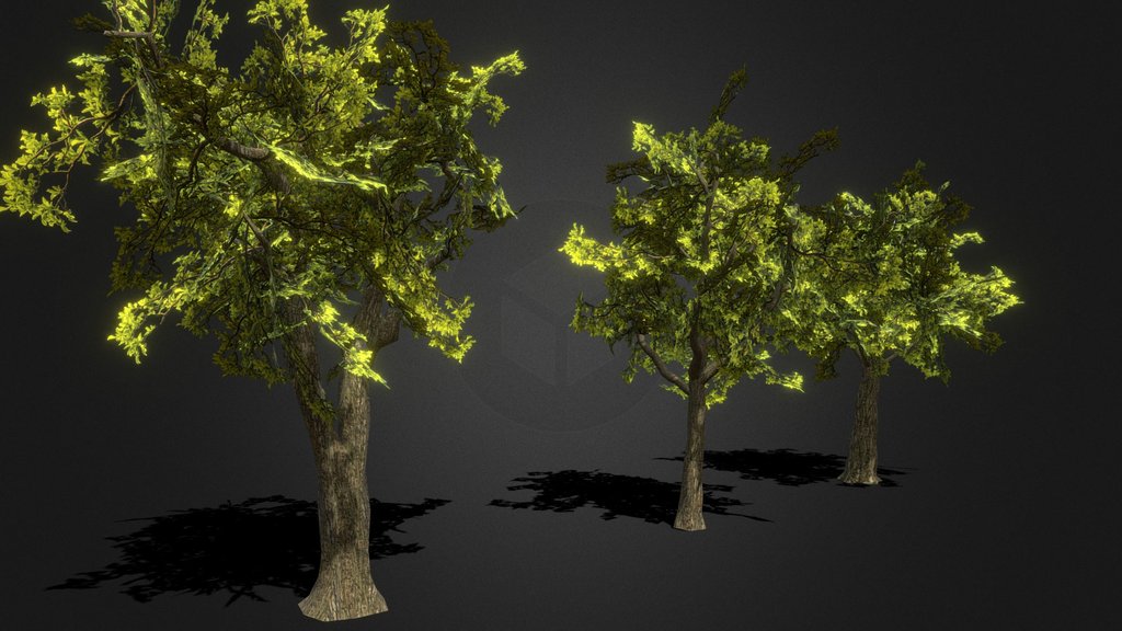 Trees