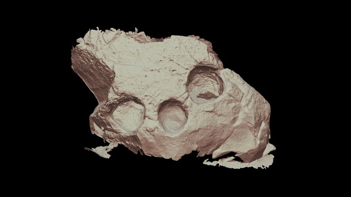 TREI_CALDARI 3D Model