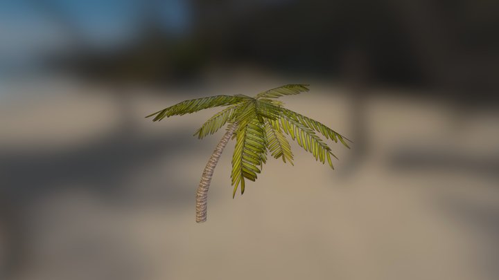 Palm tree 3D Model