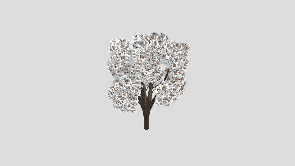 White Flowered Light Green Leaved Tree