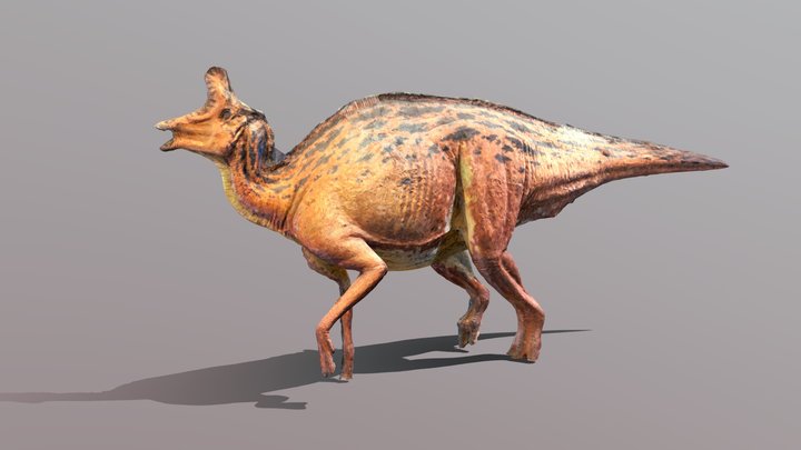 Lambeosaurus Split Skeleton 3D Model