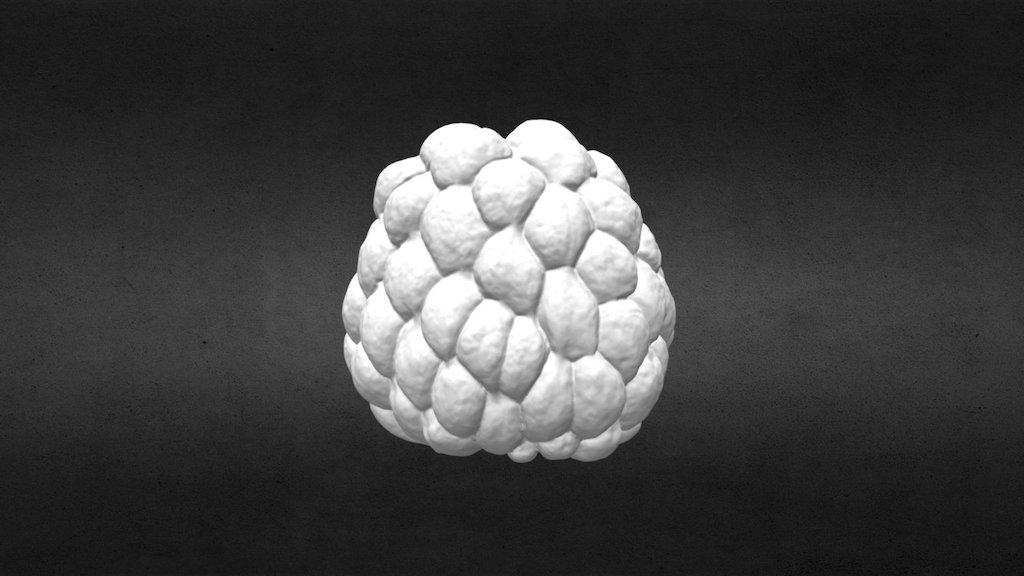 019/365_SugarApple