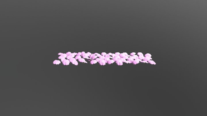 Cherry Blossom Project 3D Model