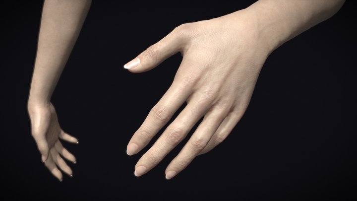 Realistic Female Hands & Arms 3D Model