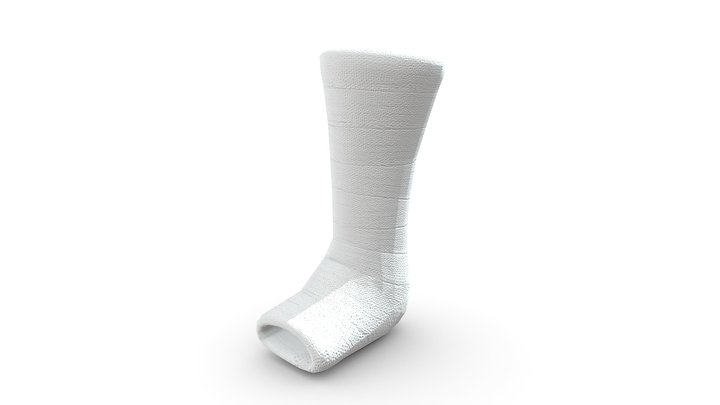 Leg Cast 3D Model