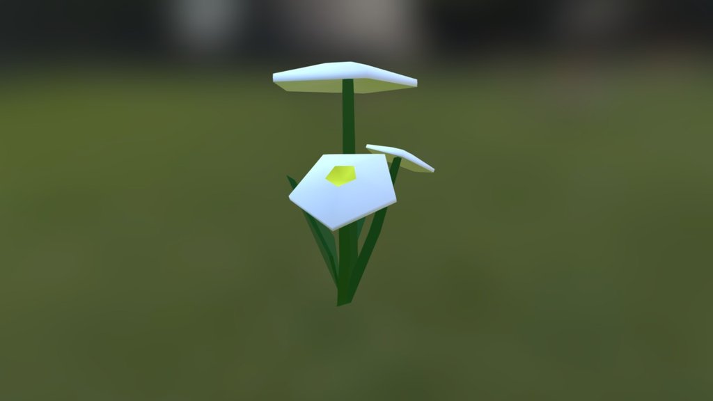 3 Camomile Flowers
