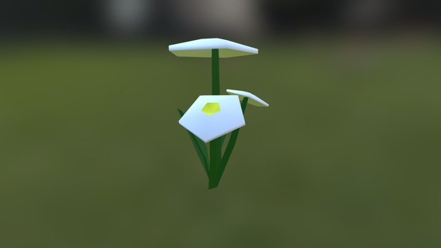 3 Camomile Flowers 3D Model