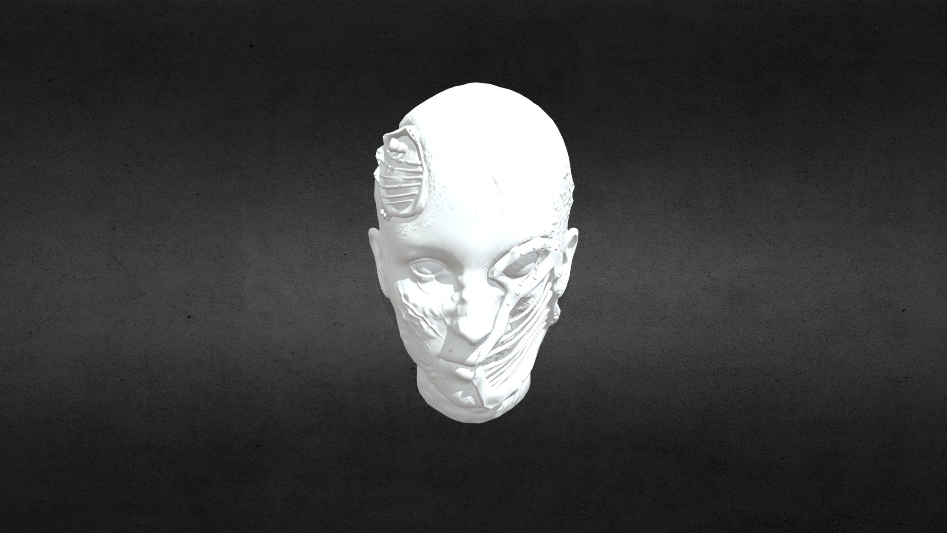 Cyborghead