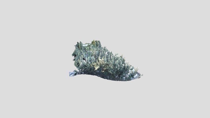 Redwoods in Santa Cruz, CA 3D Model