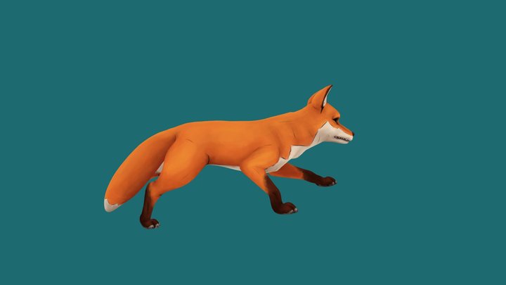 Adult Fox Run Cycle 3D Model