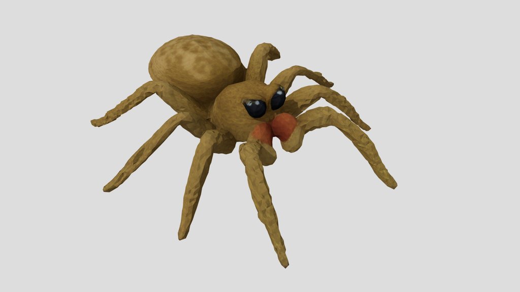 Jumping Spider