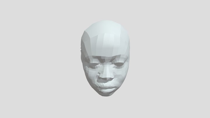 Re-topologizeface 3D Model
