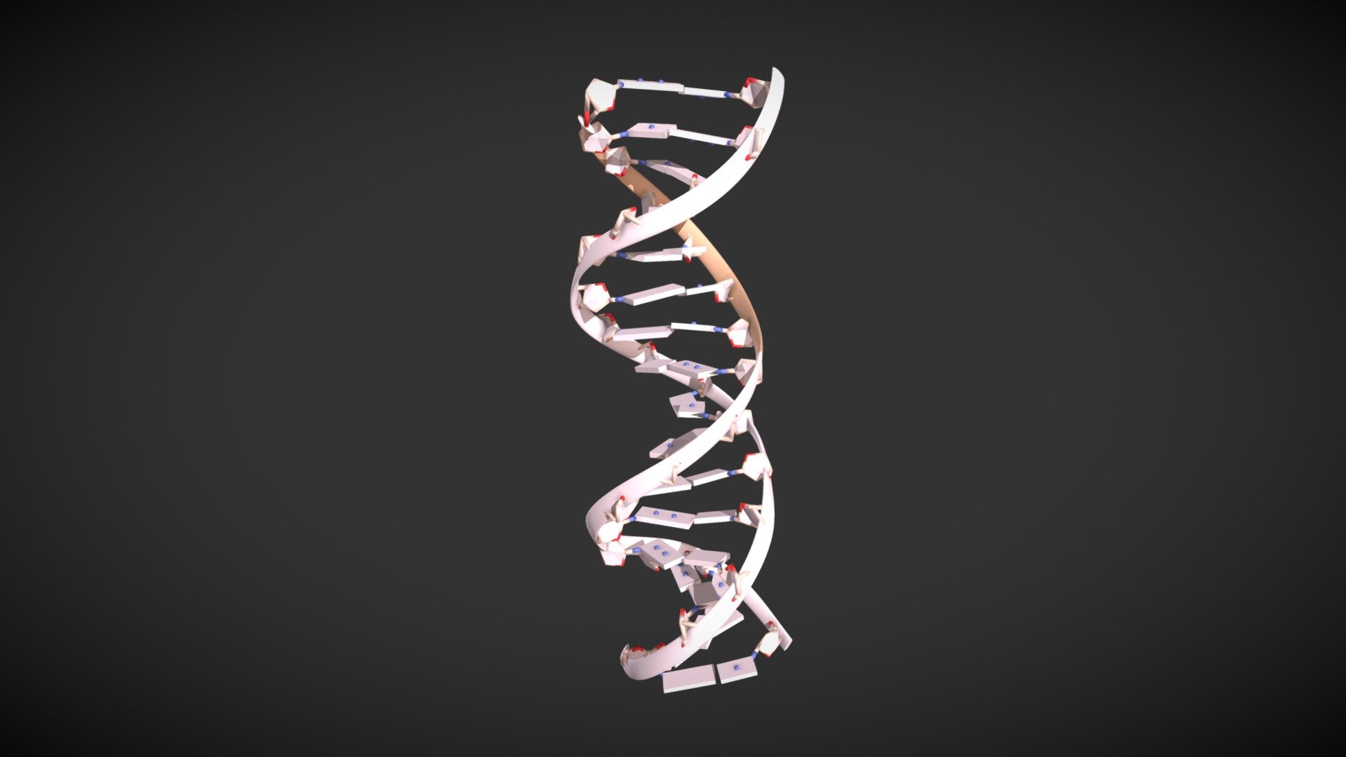 DNA-ADN - 3D model by Tec | VR (@itesm_mooc) [ef6fa31] - Sketchfab