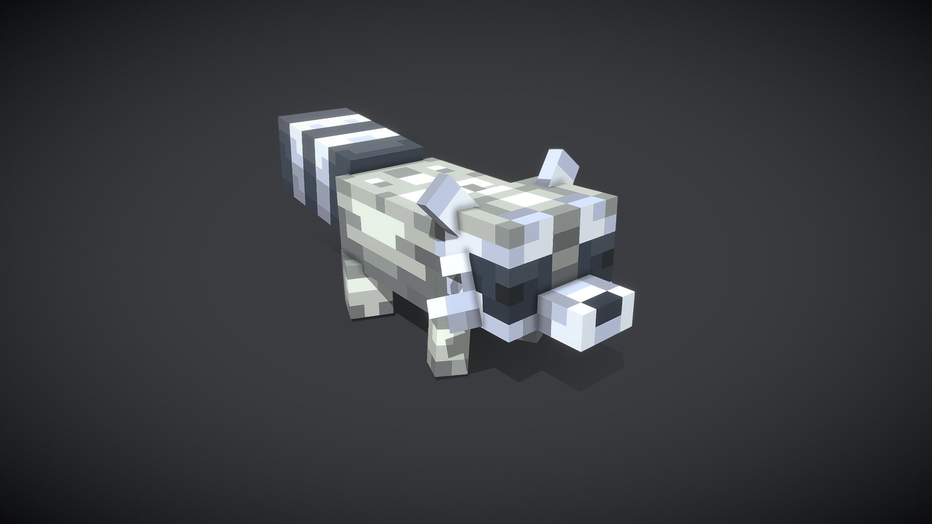 Racoon - 3D model by seaofted [ef71152] - Sketchfab