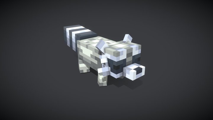 Racoon 3D Model