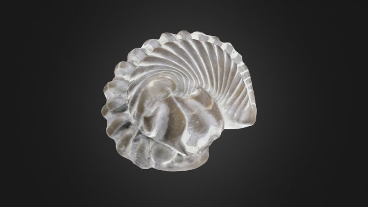 Flexicalymene meeki (PRI 70754) – Gratis 3D-model STL