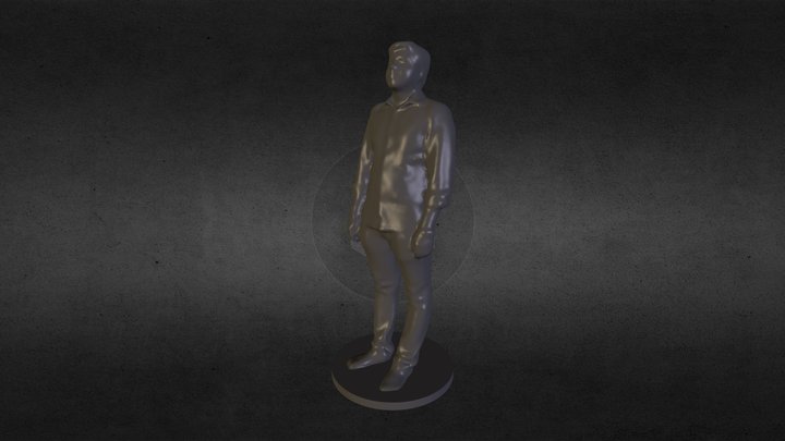 3d Scan by Printmein3d 3D Model