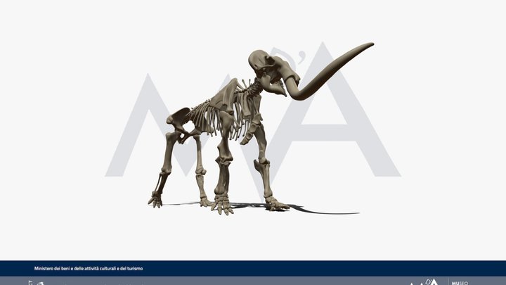 Mammuthus meridionalis “vestinus” - Animation 3D Model