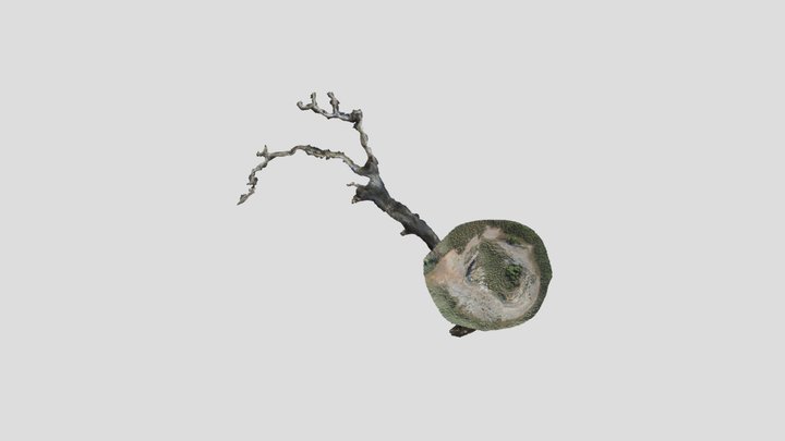 Madura Cave - Nurllabor - Australia 3D Model
