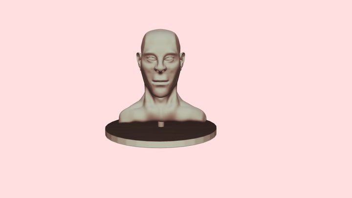 Sculpt Steps 3D Model
